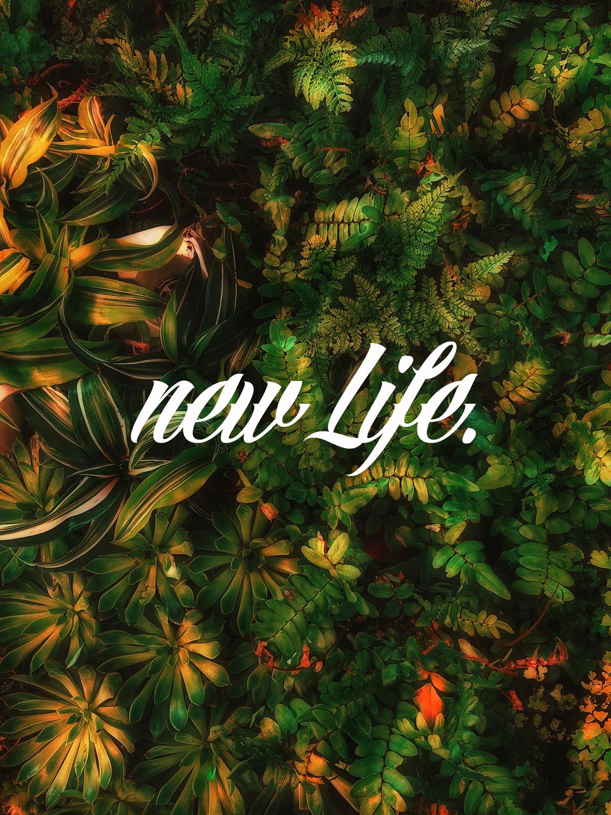New Life. Logo